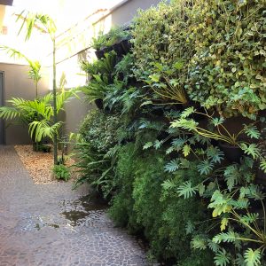 Paisagismo Jardim Vertical Rio Preto