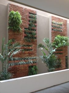 Jardim Vertical em Rio Preto é na Verdeplan Paisagismo